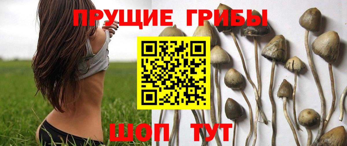 Галлюциногенные грибы Magic Shrooms Алатырь