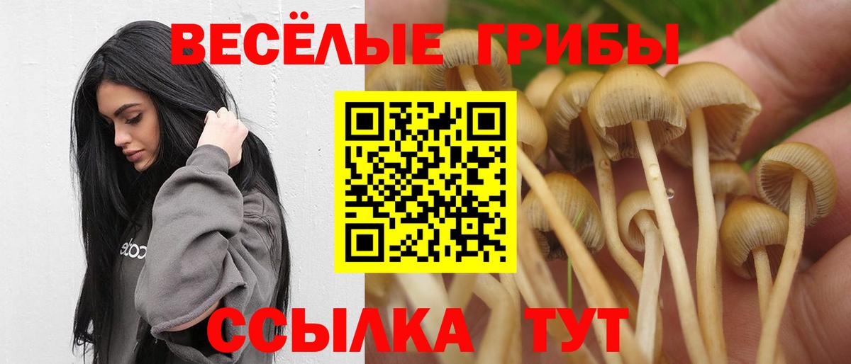Псилоцибиновые грибы мицелий  Вход с VPN  Алатырь 